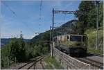 Die MOB GDe 4/4 6003 erreicht mit ihrem Panoramic Express 2123 von Zweisimmen nach Montreux den Bahnhof von Chamby, links im Bild die Strecke nach Blonay. 

25. Juli 2020