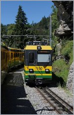 Das Trasse der WAB ist eng an die steile, felsige Landschaft geschmiegt und doch bleibt etwas oberhalb von Lauterbrunnen Platz fr eine Kreuzungsstation, welche hier von einem Berg- und einem Talwrts fahrenden WAB Zug genutzt wird. 
8. August 2016
