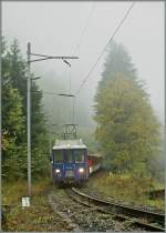 LSE IR auf der Zahnstangenfahrt Richtung Luzern bei Grünenwald am 18. Okt. 2010. Seit dem Fahrplanwechsel 2010/11 werden die Züge durch einen neuen Tunnel geleitet und die Landschaftliche reizvolle Abschnitt hier wird nicht mehr befahren. 