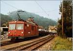 Die WSB De 4/4 mit einem Aluminium Massel Zug nach Menziken bei der Ankunft in Gränichen. 

4. Sept. 1984 