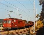 Der WSB De 4/4 44 ist mit zwei Rs und drei Tibs als Extragüterzug 817 von Suhr Gütergleis nach Leimach unterwegs und erreicht Zetzwil. 

18. Juli 1984