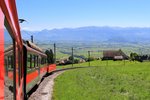 Appenzellerbahnen - Abstieg ins Rheintal nach Altstätten Stadt. Triebwagen 17, davor der Velotransportwagen. 10.Juni 2016. 