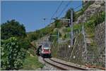 Unter dem Titel  Sommerfahrplan  wurde dem Publikum einschneidende Betriebsbeschränkungen schmackhaft gemacht, eine davon betraf die komplette Streckenerneuerung Puidoux - Lausanne auf der wichtigen Hauptstrecke Lausanne - Bern, so dass ein Ersatzkonzept mit Züge via  Train de Vignes  Strecke angeboten wurde. Die Züge Genève - Vevey - Fribourg wurden von KISS RABE 511 gefahren. 

Ein SBB RABe 511 beim 20 Meter kurzen Salanfe Tunnel zwischen Vevey und Chexbres auf der Fahrt nach Fribourg.

19. Juli 2018