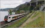 100-lausanne-brig-rhonetalstrecke/823337/der-sbbtravys-flirt-3-rabe-523 Der SBB/TRAVYS Flirt 3 RABe 523 113 und der SBB Flirt 523 060 bilden einen 'gemischten' Flirt' von Le Brassus/Vallorbe - Le Day - Aigle bei der Fahrt kurz vor Villeneuve am Genfersee vorbei. 

29. August 2023