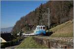 Der MOB ABDe 8/8 4002  Vaud  mit seien Regionalzug 2224 auf dem Weg von Montreux nach Zweisimmen oberhalb von Chernex.
8. Dez. 2016 
