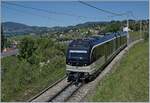 Und auf der Rückfahrt: Der MVR ABeh 2/6 7504  VEVEY  zwischen Planchamp und Châtelard VD und Planchamp auf der Fahrt von Sonzier nach Montreux.

21. Mai 2020