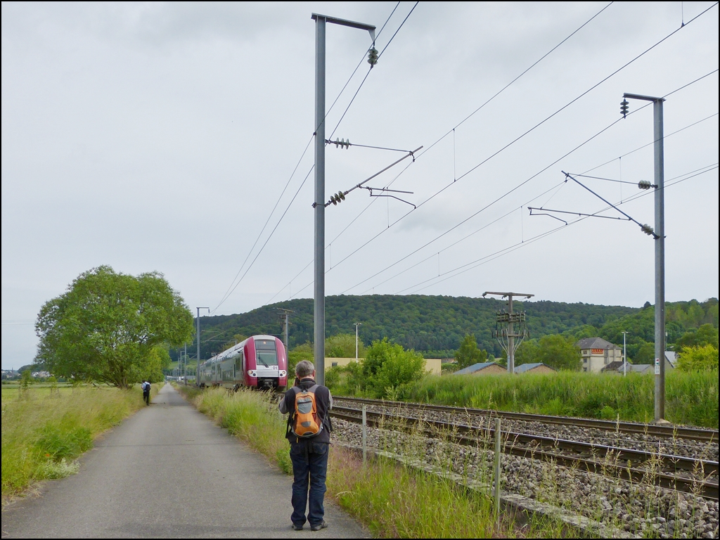 . Auf Motivsuche - Der Wanderweg zwischen Lintgen und Mersch bot den verschiedenen Fotografen zahlreiche Mglichkeiten ihre Lieblingsmotive zu finden. Whrend Hans sich mit der Flora und Fauna beschftigt, hat Stefan die Computermaus Z 2201 im Visier: http://www.bahnbilder.de/bild/luxemburg~triebzuege~br-2200/699769/eine-computermaus-auf-der-fahrt-nach.html    15.06.2013 (Jeanny)