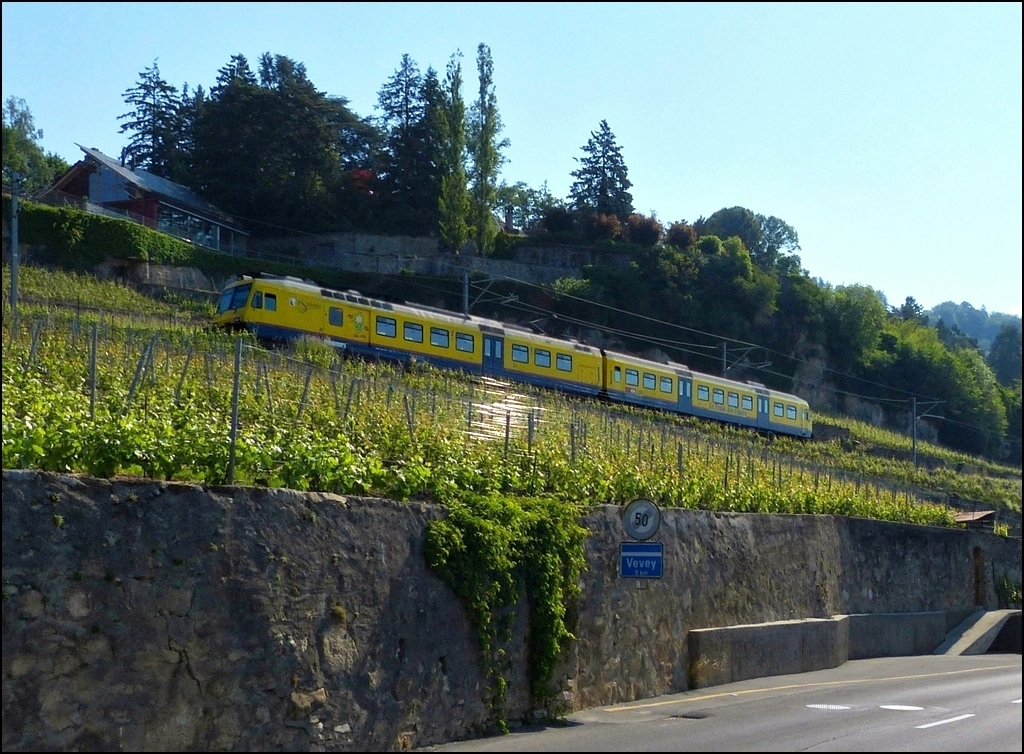 - Im Gegenlicht - Auch wenn Margaretha und ich den Bahnhof in Chexbres vergeblich gesucht haben, so haben wir aber den  train des vignes  gefunden und trotz starkem Gegenlichts, fotografisch festgehalten mitten in seinem Element, den Weinbergen des Lavaux. 28.05.2012 (Jeanny)