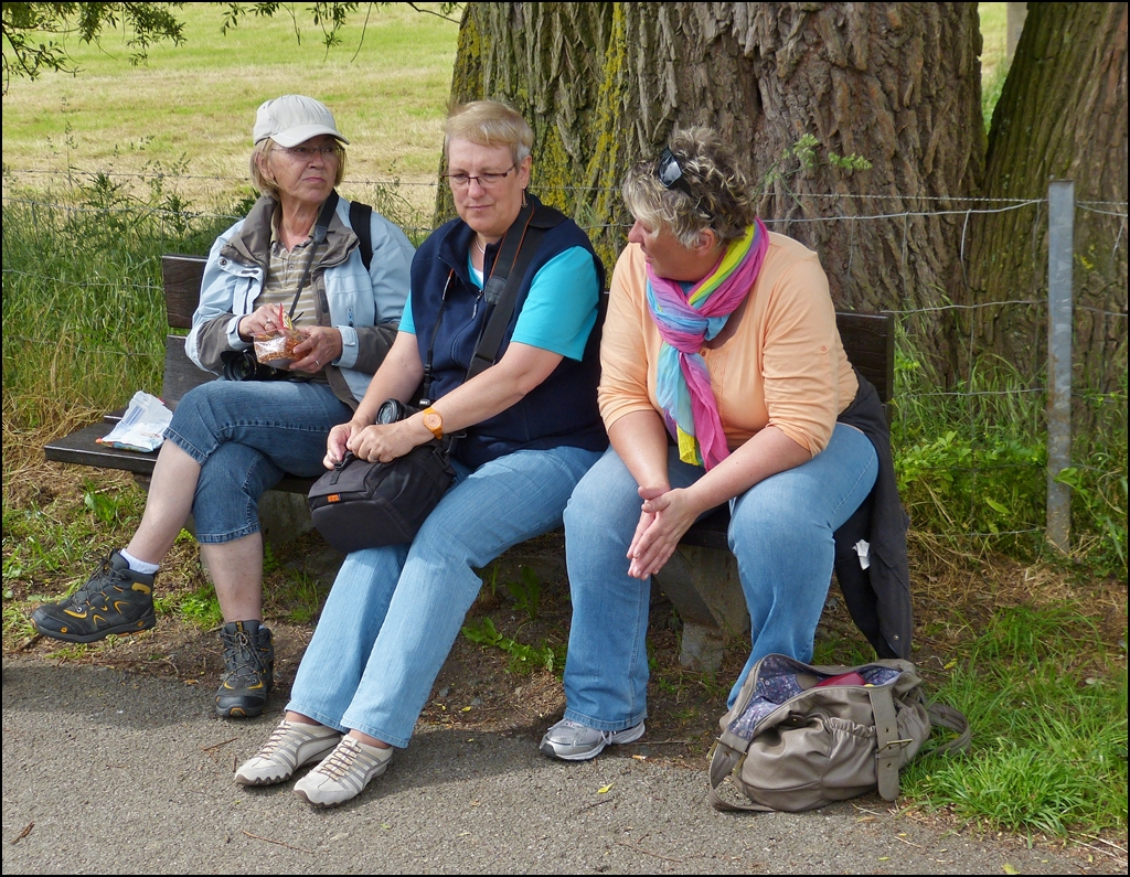 . Oma Bnke an der Bahnstrecke sind was feines... 15.06.2013 (Hans)