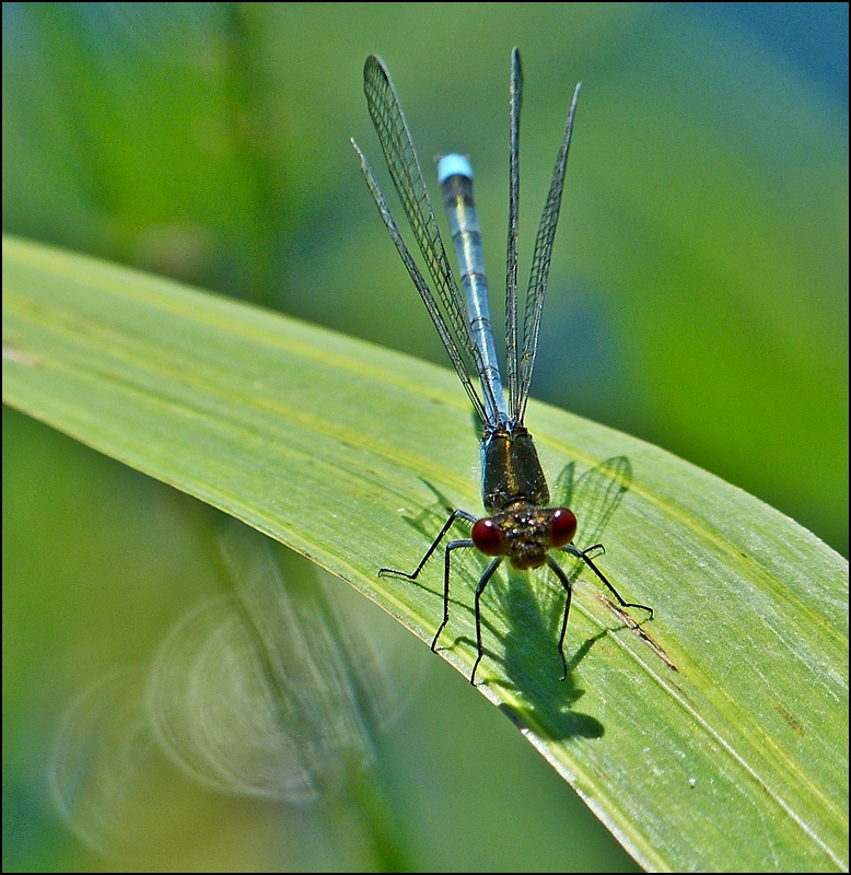 . Wer bist Du denn? 08.07.2013 (Jeanny)