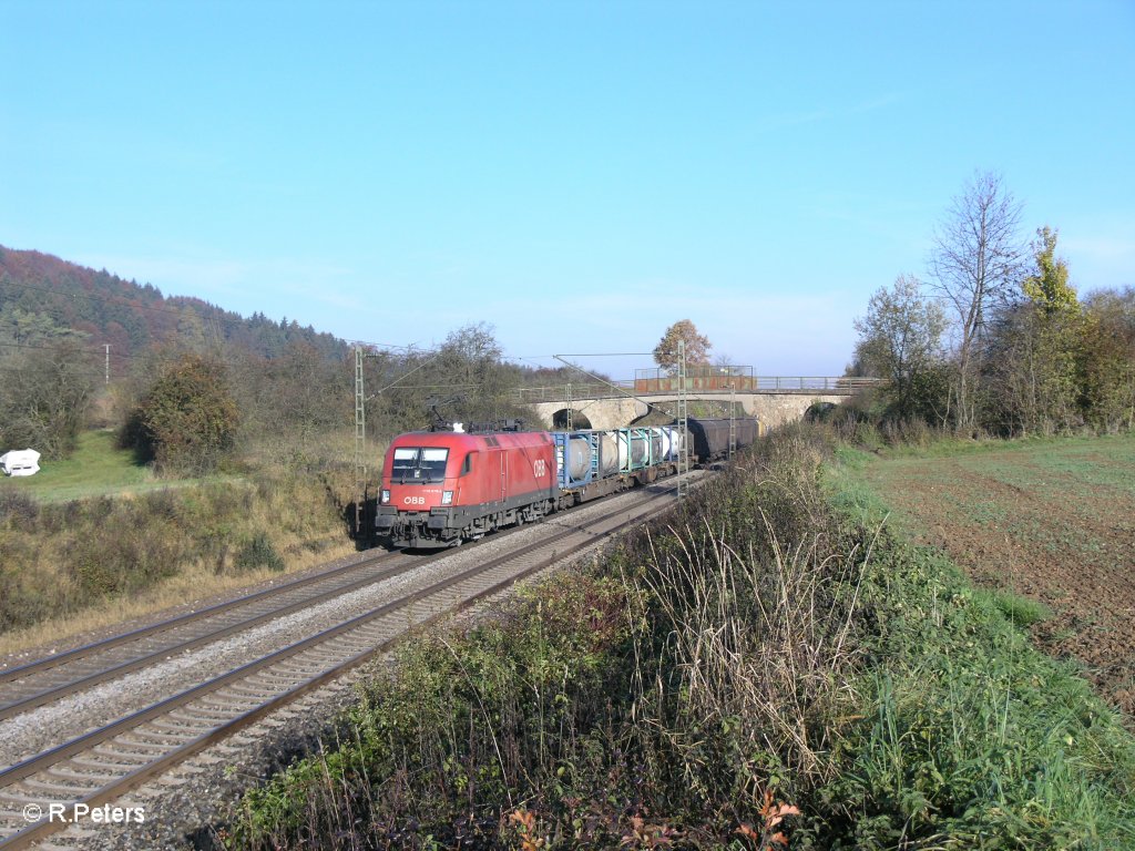 1116 079-3  Heini  mit einem gemischten Gterzug bei Dettenhofen. 29.10.10