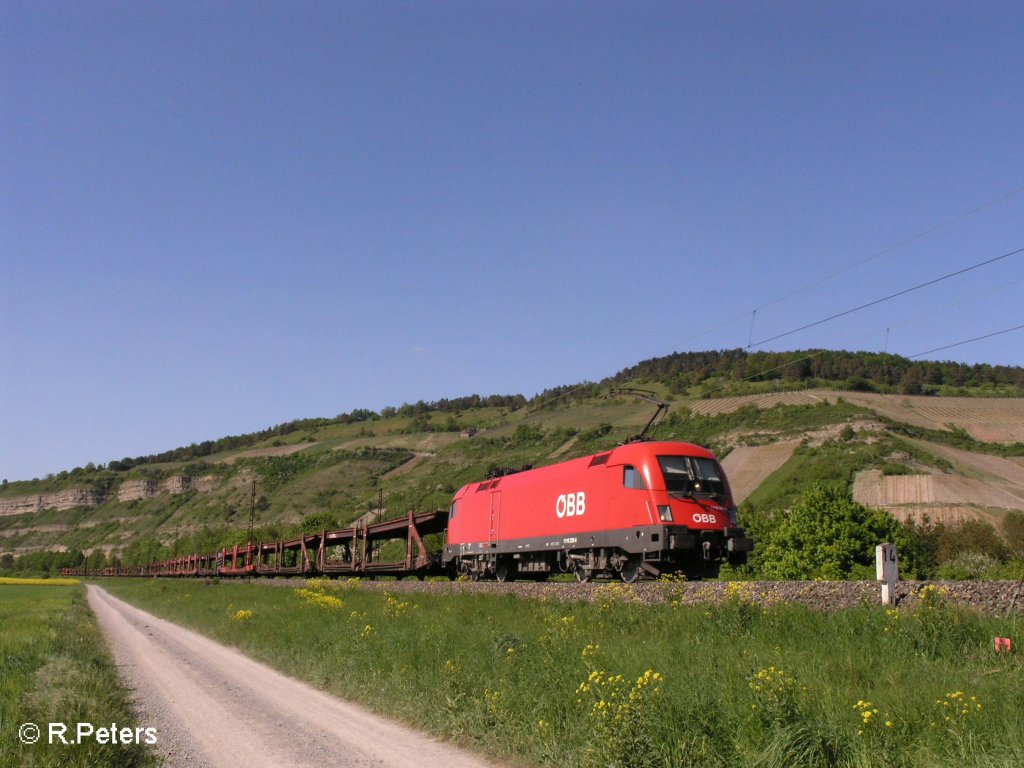 1116 228-6 zieht ein leeren Autozug durchs Maintal bei Thngersheim. 10.05.08