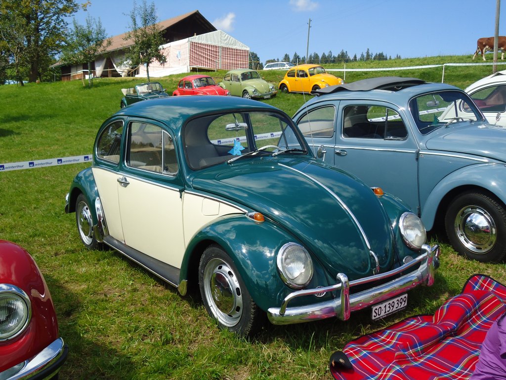 (129'259) - VW-K�fer - SO 139'399 - am 4. September 2010 in Wachseldorn