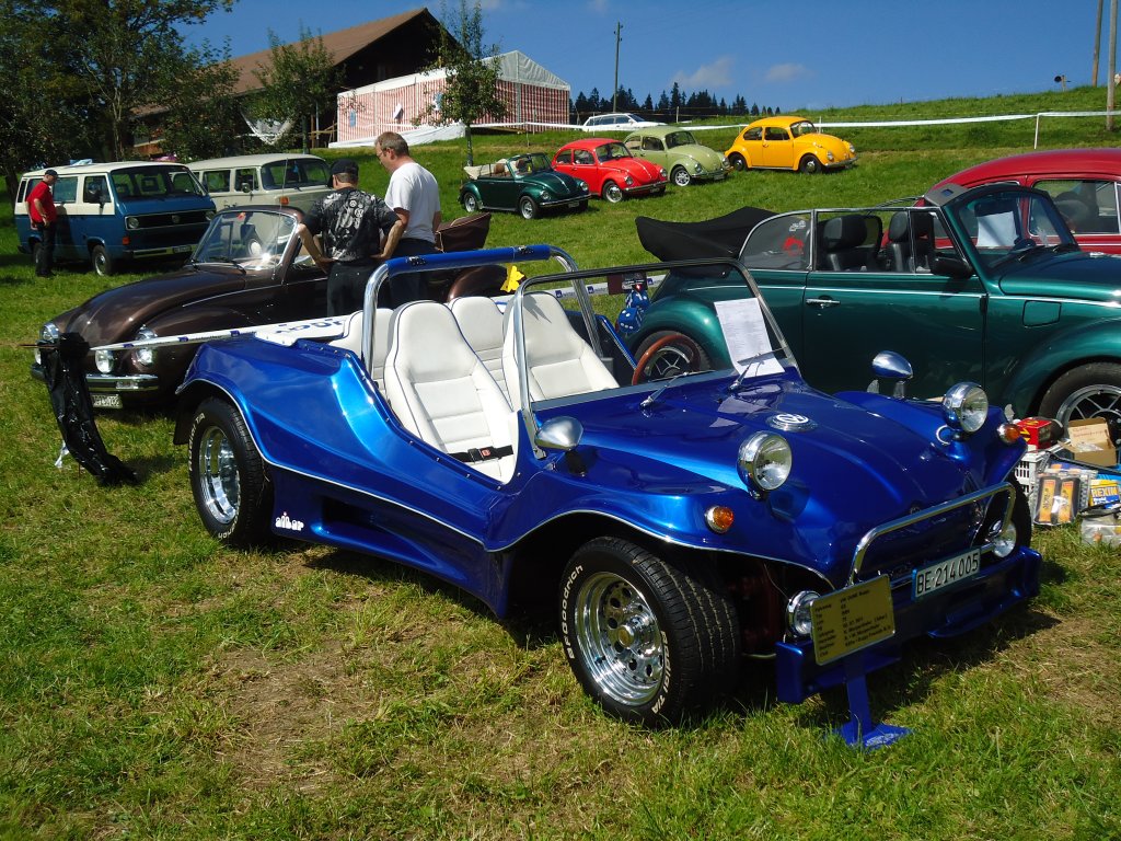 (129'271) - Volkswagen - BE 214'005 - am 4. September 2010 in Wachseldorn