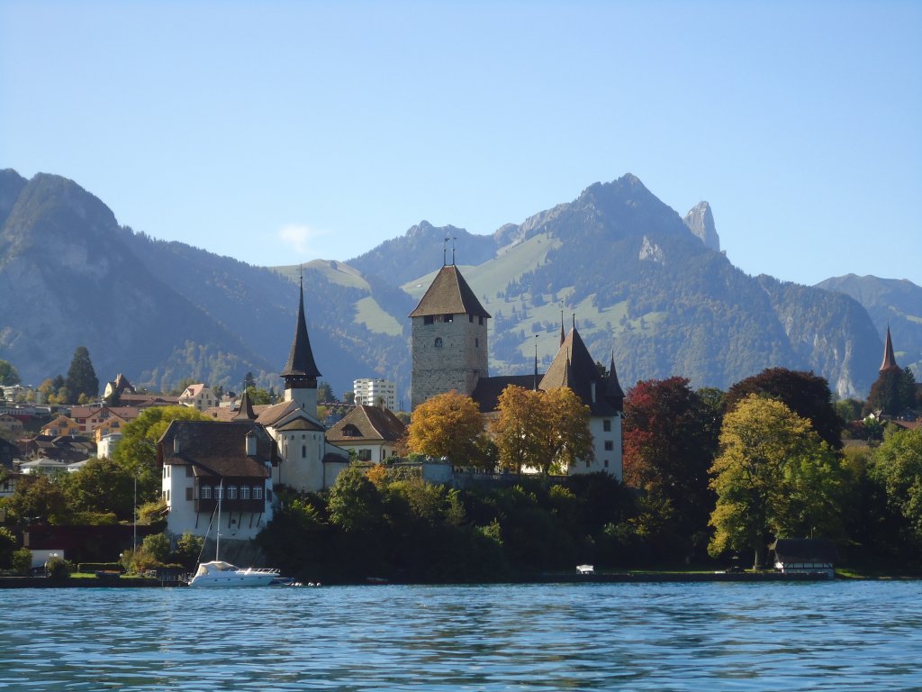 (130'133) - Das Schloss Spiez vom Thunersee aus am 3. Oktober 2010