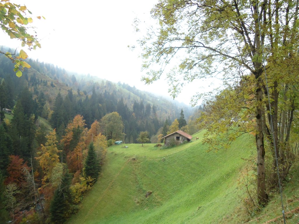 (130'329) - Im Frutigspissen Ladholz: Wohnhaus im Grund-Ladholz am 11. Oktober 2010