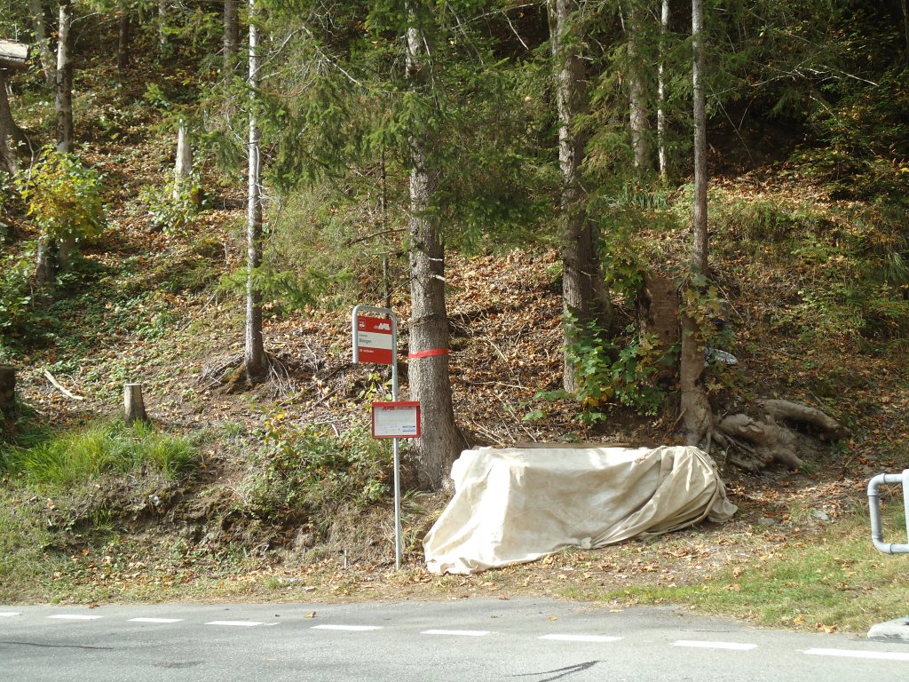(130'332) - Im Frutigspissen Ladholz: AFA-Haltestell B�nigen am 11. Oktober 2010
