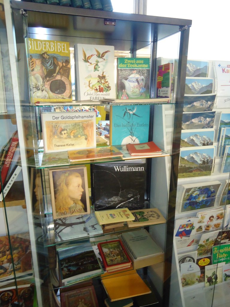 (133'483) - B�cherabteilung im BrockiShop am 26. April 2011