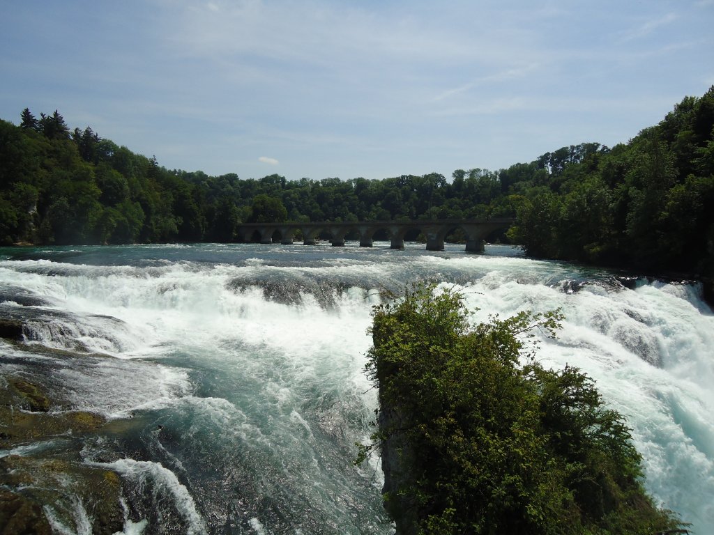 (133'781) - Am Rheinfall am 23. Mai 2011 bei Neuhausen