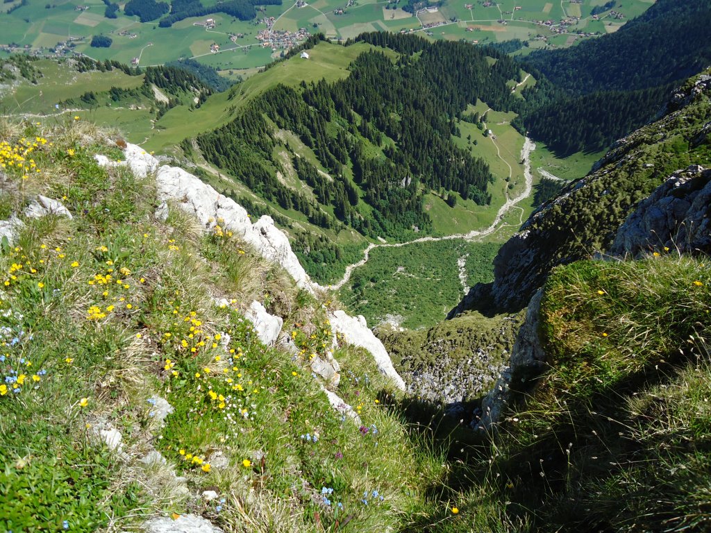 (134'450) - Aussicht vom Stockhorn am 26. Juni 2011