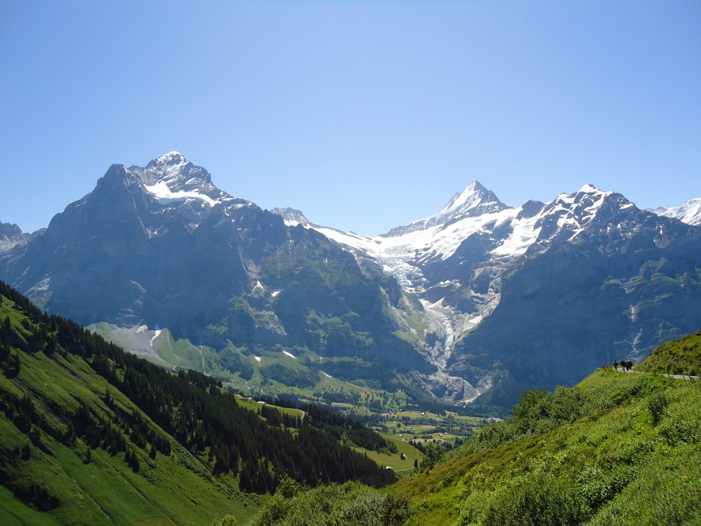 (134'694) - Aussicht von Bachl�ger bei Grindelwald am 3. Juli 2011
