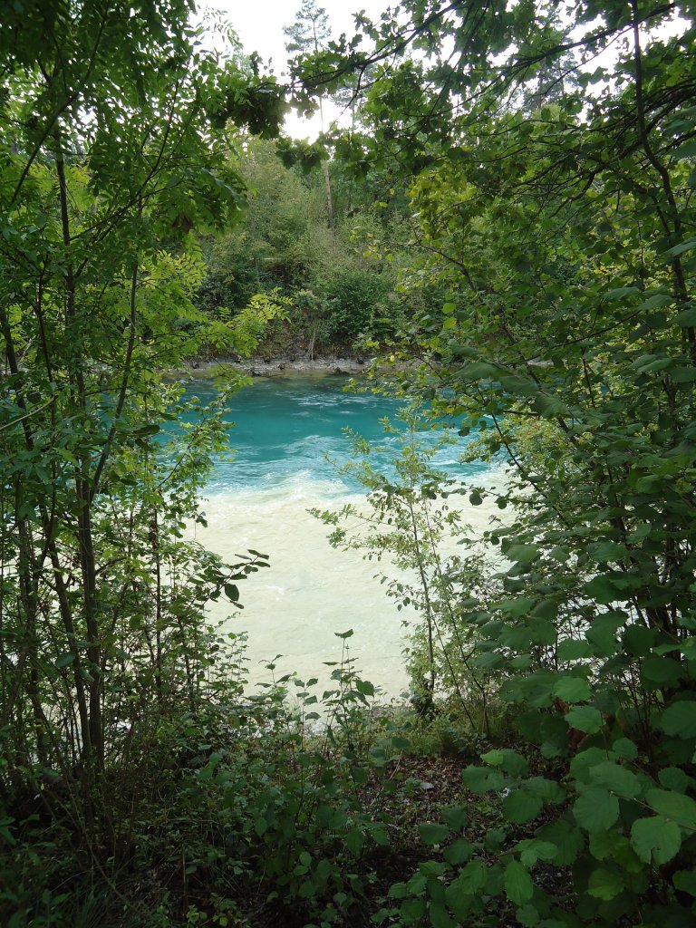 (135'975) - Die Zulg (braun) und die Aare (blau) fliessen am 18. September 2011  friedlich  nebeneinander in Richtung Bern