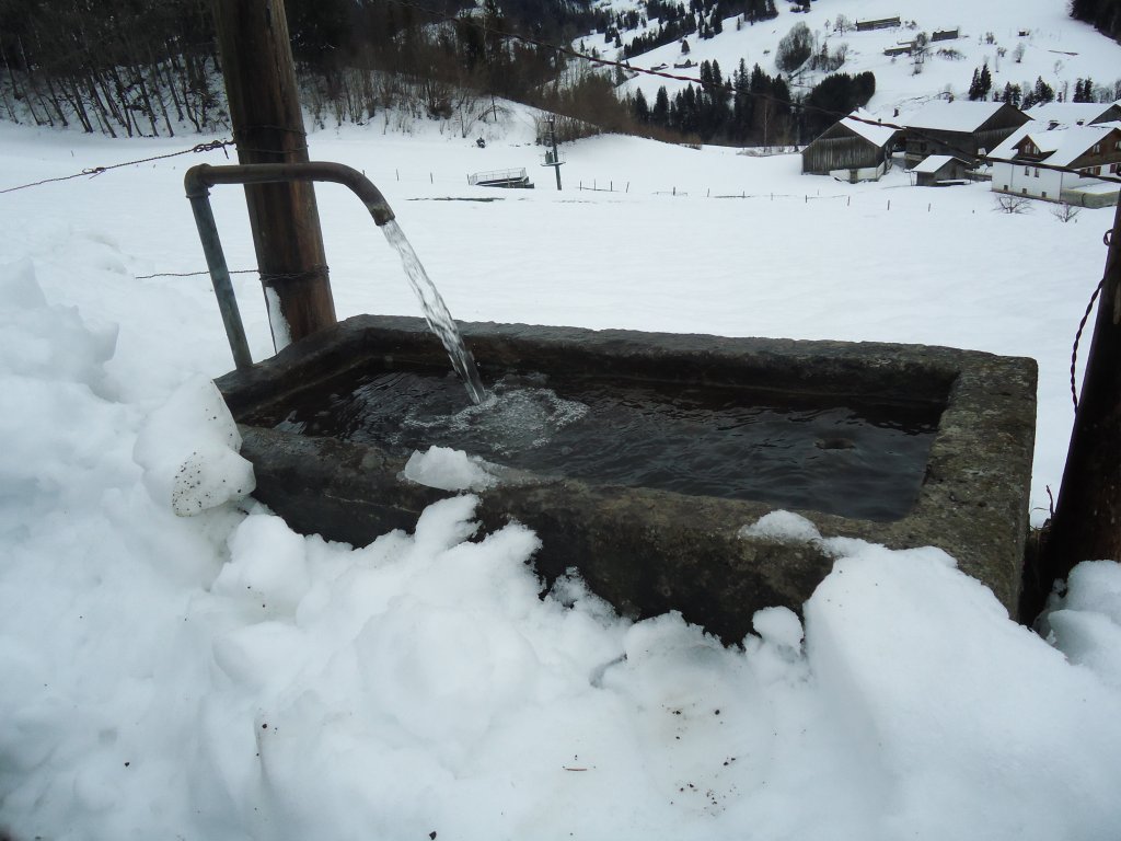 (137'614) - Brunnen am 21. Januar 2012 in Egg/Bregenzerwald