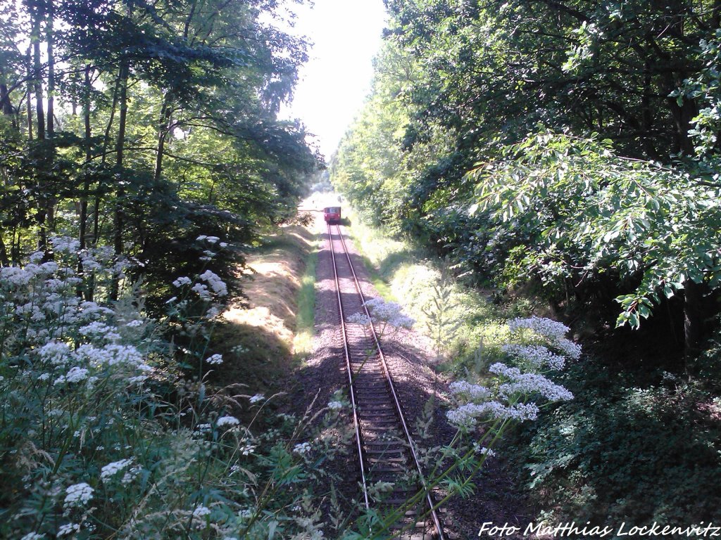 172 132 & 172 171 kurz vor der Einfahrt in Putbus am 28.7.13