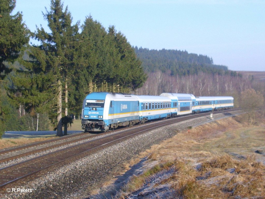 223 063mit ALX84109 nach Mnchen bei Lengenfeld. 20.03.11