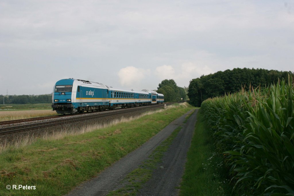 223 066 mit ALX84110 nach Hof bei Oberteich. 04.08.11