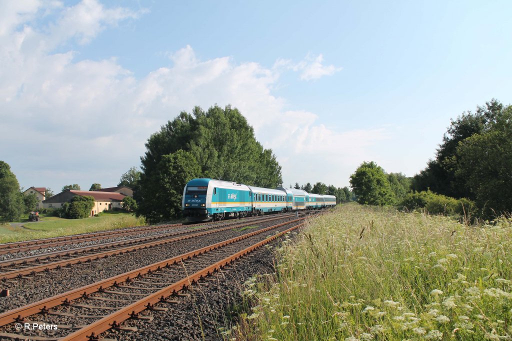 223 067 mit dem ALX84109 Hof - Mnchen bei Schnfeld. 02.07.13