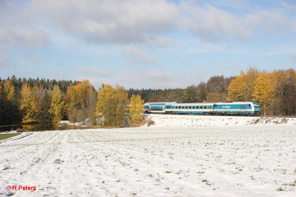 223 067 mit dem ALX84115 Hof - Mnchen bei Oberteich. 28.10.12