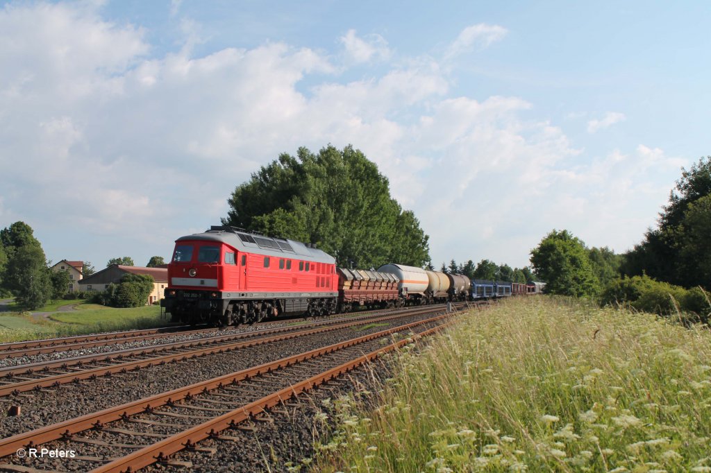 232 252-7 mit dem umgeleiteten 51683 Zwickau - Nrnberg bei Schnfeld. 02.07.13