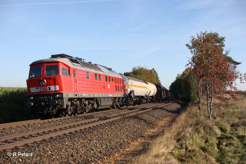 232 254-3 mit dem 45362 Cheb - Nrnberg bei Waldershof. 16.10.11