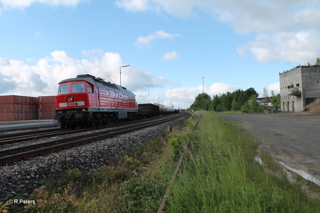 233 217-9 beschleunigt und verlsst mit dem morgentlichen 45367 NN - Cheb den Bahnhof Wiesau. 14.06.13