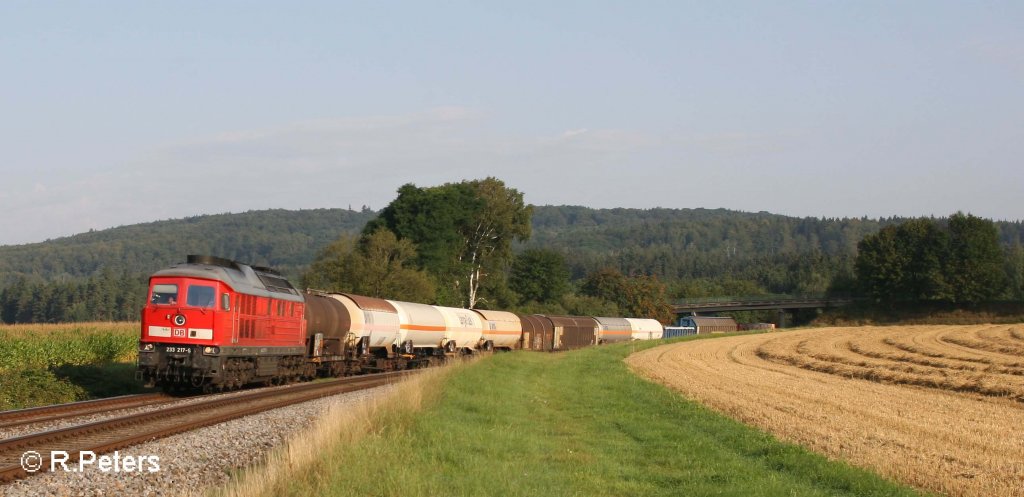 233 217-9 mit den 45360 Cheb - Nnrberg bei Oberteich. 23.08.11