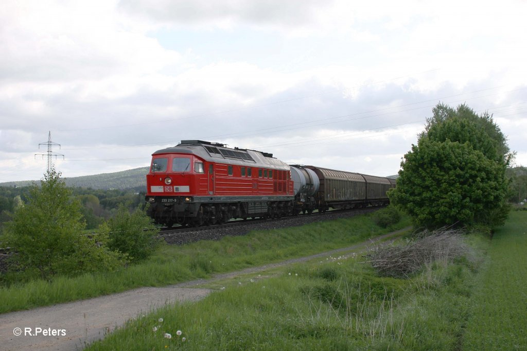 233 217-9 mit 45362 Cheb - Nrnberg bei Brand. 13.05.12