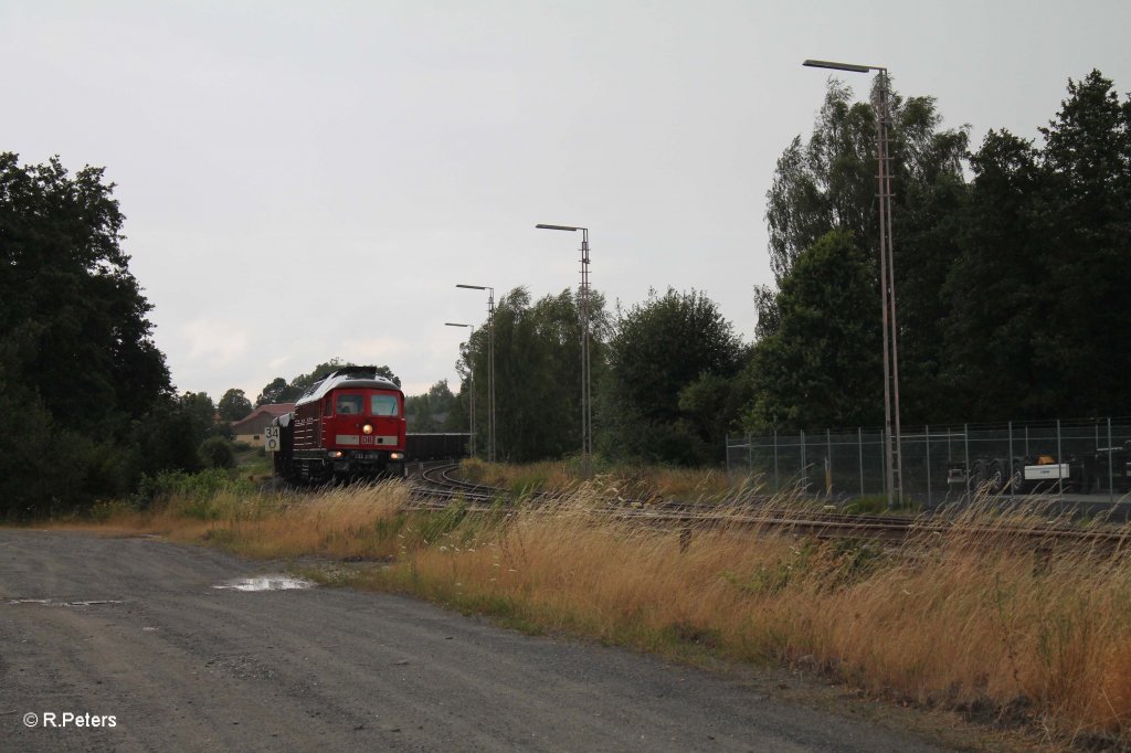 233 219-5 mit Schrottzug in Wiesau 30.07.13