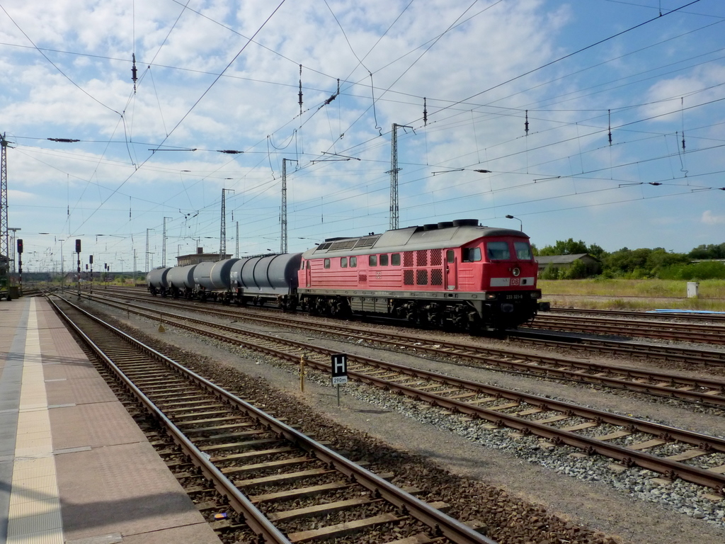 233 321-9 mit Gterzug am 19.07.10 in Stralsund