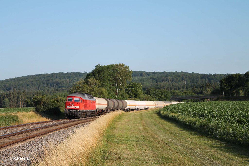 233 373-0 mit dem umgeleiteten 45360 Cheb - Nrnberg bei Oberteich. 19.07.13