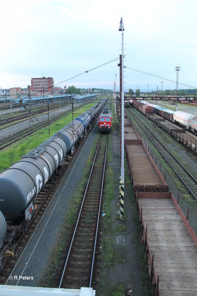 233 521 beim Umsetzen in Cheb. 14.06.13