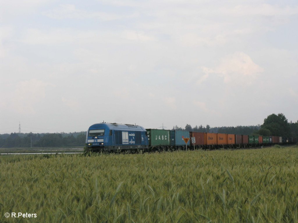 253 015 zieht ein Containerzug nach Hof bei Oberteich. 26.06.09