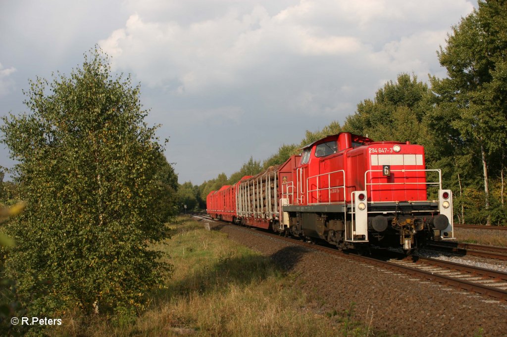 294 647-3 mit einer Holzbergabe nach Wiesau/Oberpfalz bei Schnfeld. 27.09.11