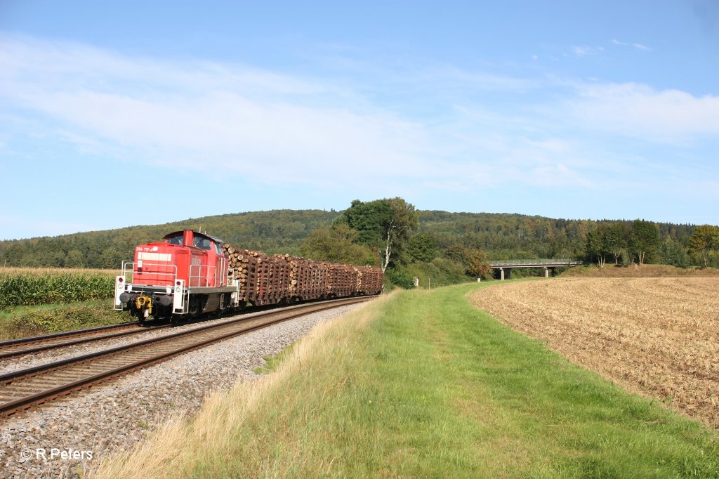 294 717-4 mit der bergabe 56960 nach Wiesau bei Oberteich. 06.09.11