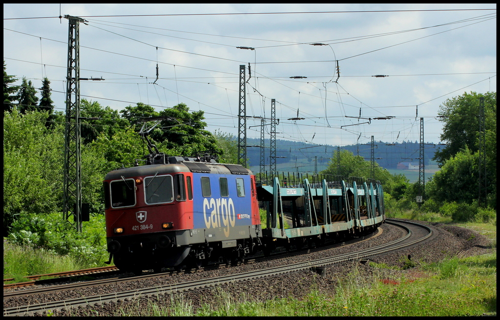 421 384 mit ARS Altmann Zug am 22.06.13 in Gtzenhof