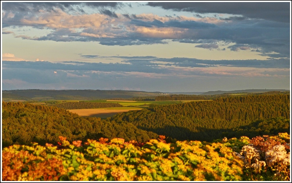 Abendstimmung in Fischbach. 06.07.2012 (Jeanny)