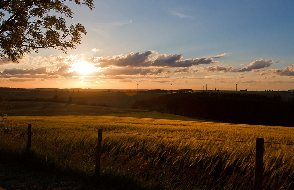 Abendstimmung in Ltzebuerg (Luxembourg).....

Hier am 14.06.2013 (21:14 Uhr) bei Clervaux, aus dem Auto heraus aufgenaommen.