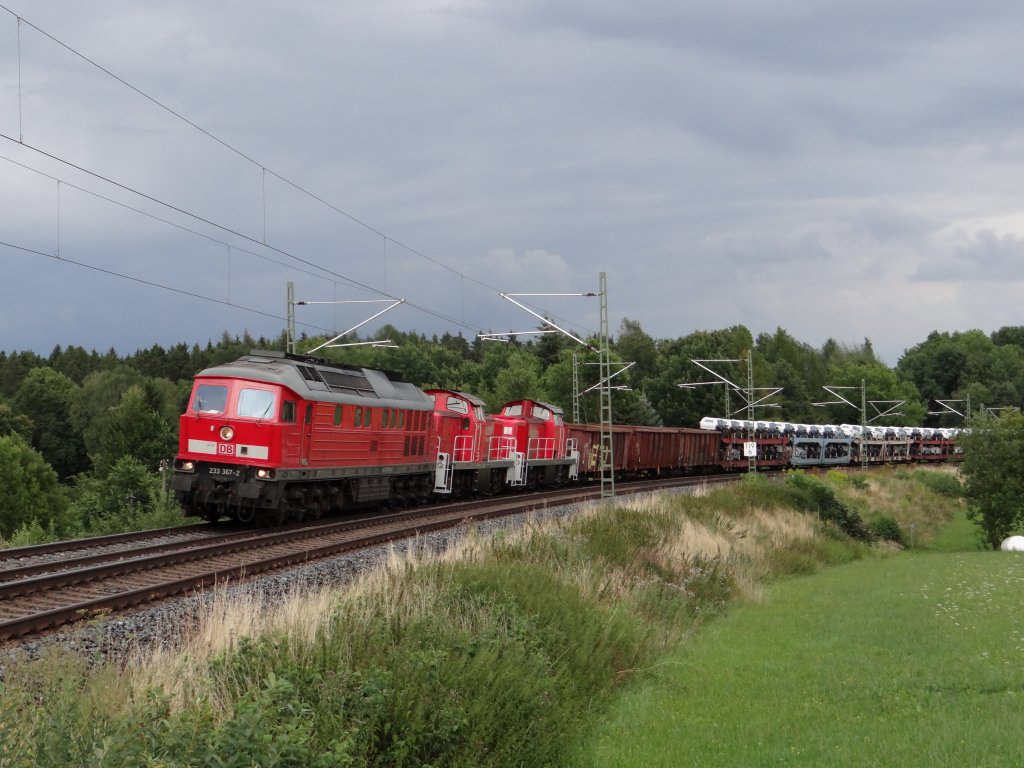 Am 13.08.13 kam der 87er mit 233 367 und zwei 294er durch Oberj�ssnitz.