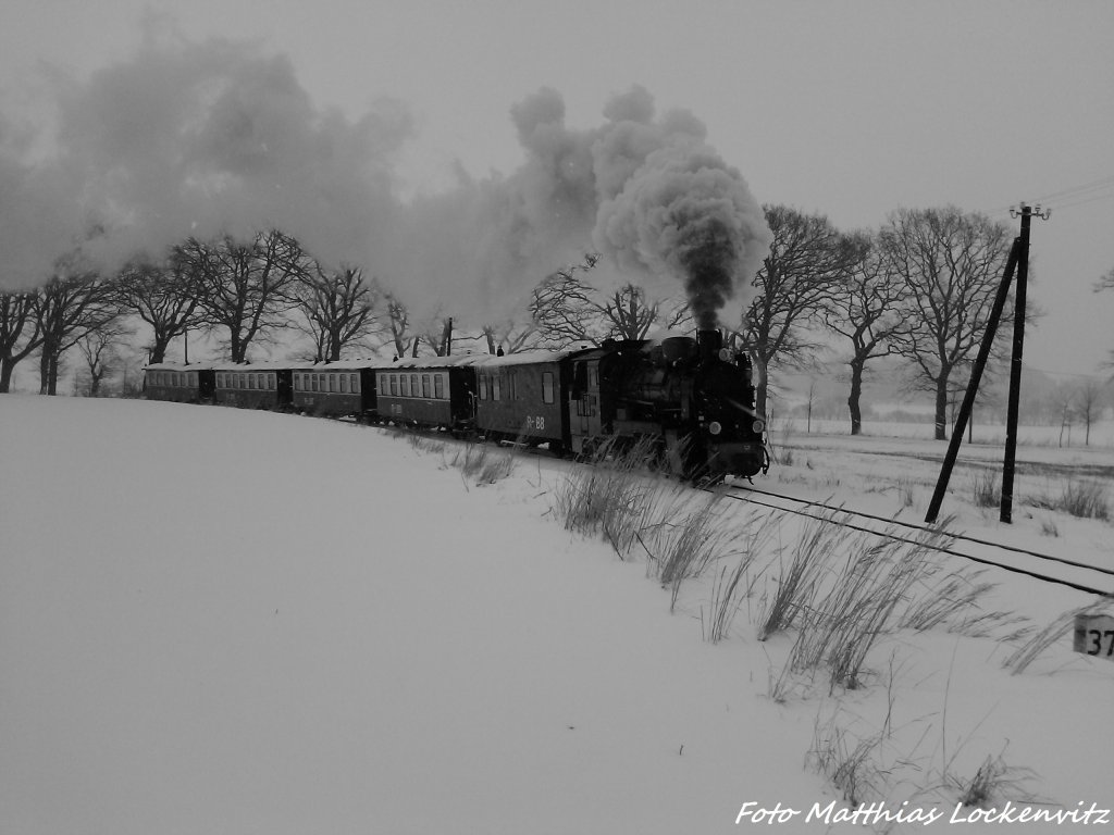 Am 20.3.13 ist RBB Mh 53 unterwegs nach Putbus. / hier bei Beuchow