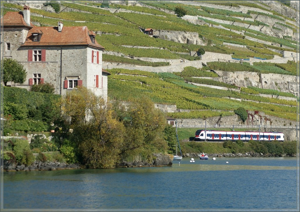 Am Genfersee, bei Rivaz fährt am 3. Oktober 2010 ein SBB Flirt RABe in Richtung Lausanne.

3. Okt. 2010